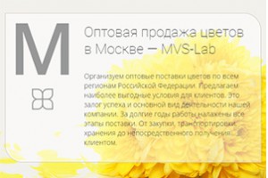 MVS-Lab - оптовая продажа цветов